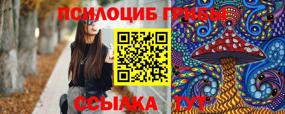 Галлюциногенные грибы прущие грибы  Вход с VPN  Карачаевск 