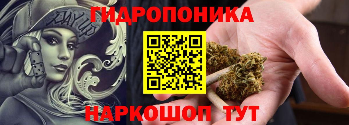 Каннабис OG Kush Карачаевск